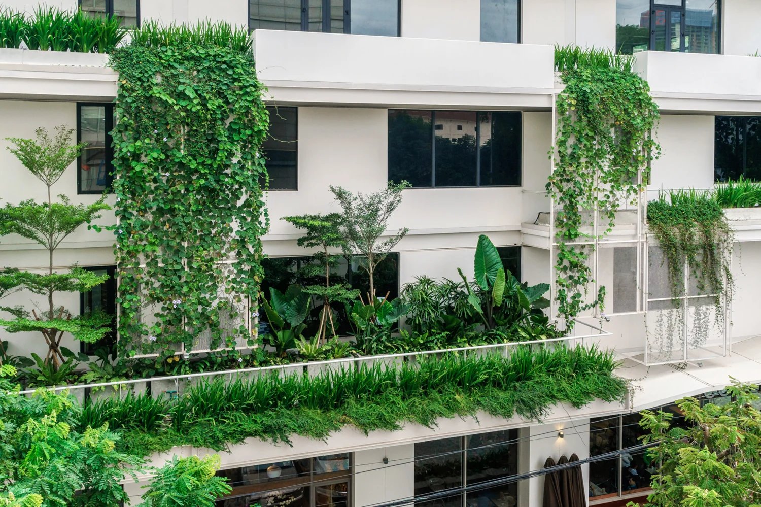 Raintree creative office building facade draped in greenery, Phnom Penh