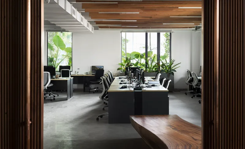 Open-plan Raintree office with timber-slat ceiling, polished concrete floor and indoor greenery